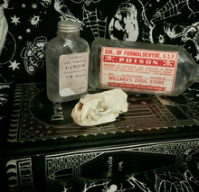 Load image into Gallery viewer, Mink Skull