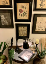 Load image into Gallery viewer, S-Light of Hand Desk Lamp