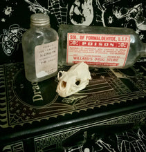 Load image into Gallery viewer, Mink Skull