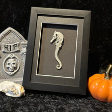 Load image into Gallery viewer, Seahorse Skeleton
