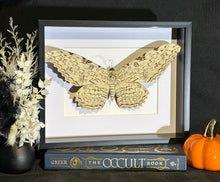Load image into Gallery viewer, White Witch Moth
