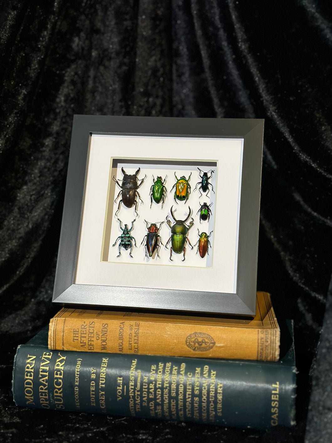 The Beetles