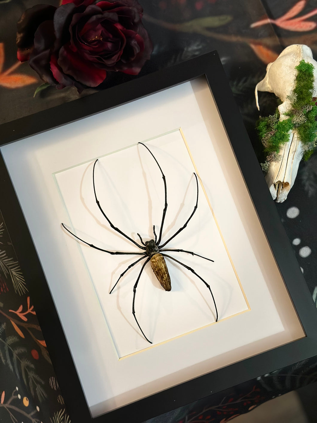 Golden Orb (large)