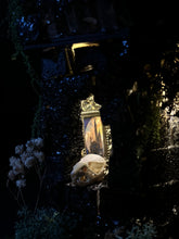 Load image into Gallery viewer, Mouseferatu
